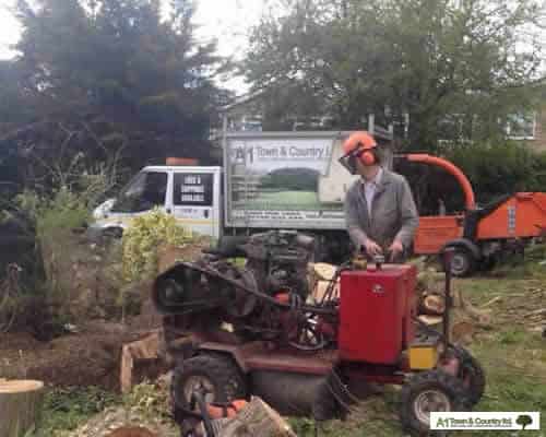 Stump Grinding by Harrow Tree Surgeon, a1Town & Country
