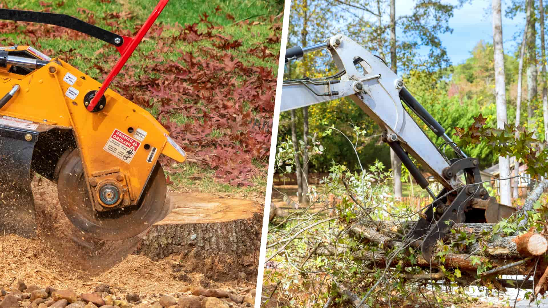 Affordable tree surgery services St Albans