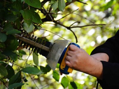 Harrow hedge trimming