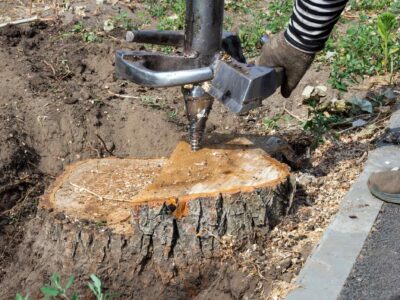 Tree stump grinder Tring