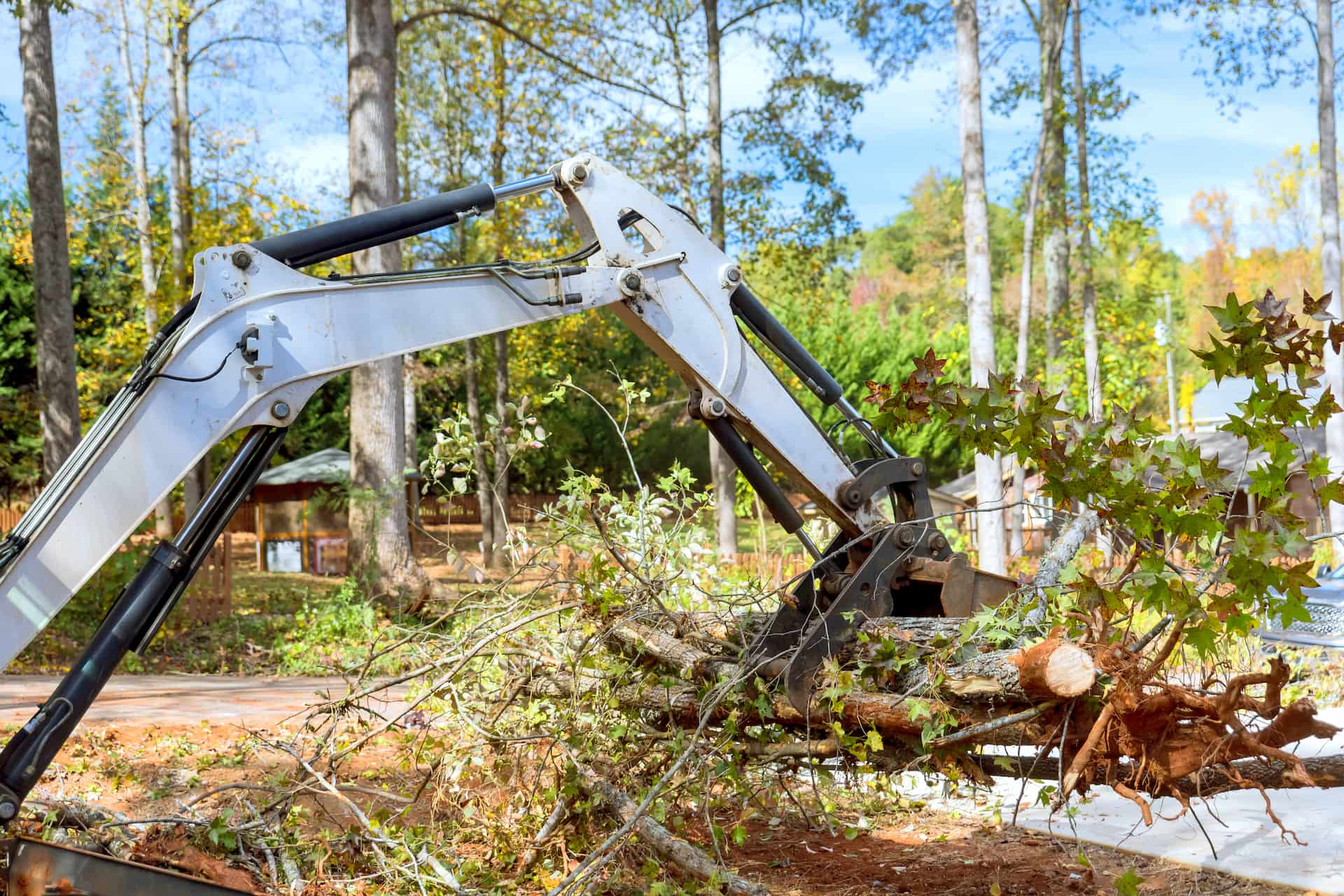 Site clearance company near Greater London