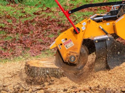 Tree stump grinding Kings Langley