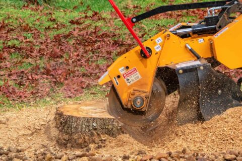 Tree Stump Grinding Services North London