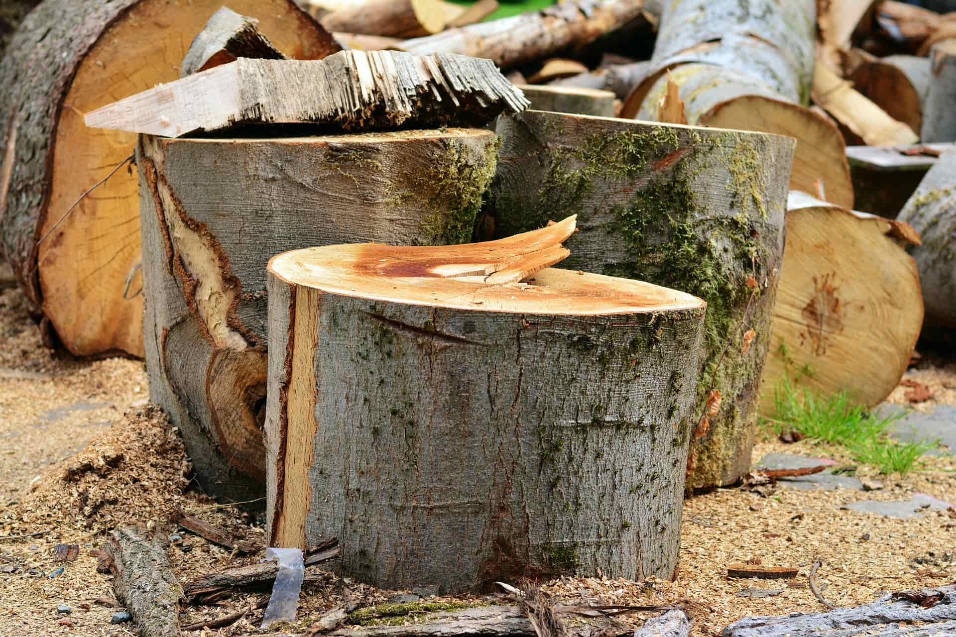 Uxbridge Eco Friendly Stump Removal