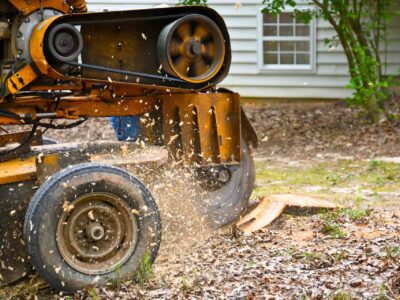 London Borough Of Barnet stump grinder