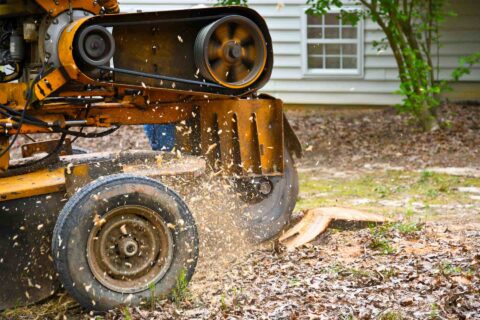 Stump Grinding near me Luton LU1-LU4