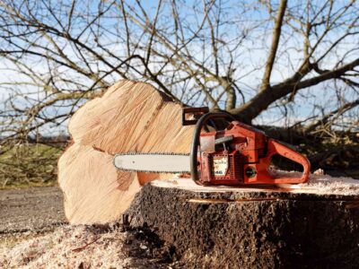 Tree cutting service Abbots Langley