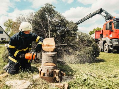 Tree surgeon services Harrow