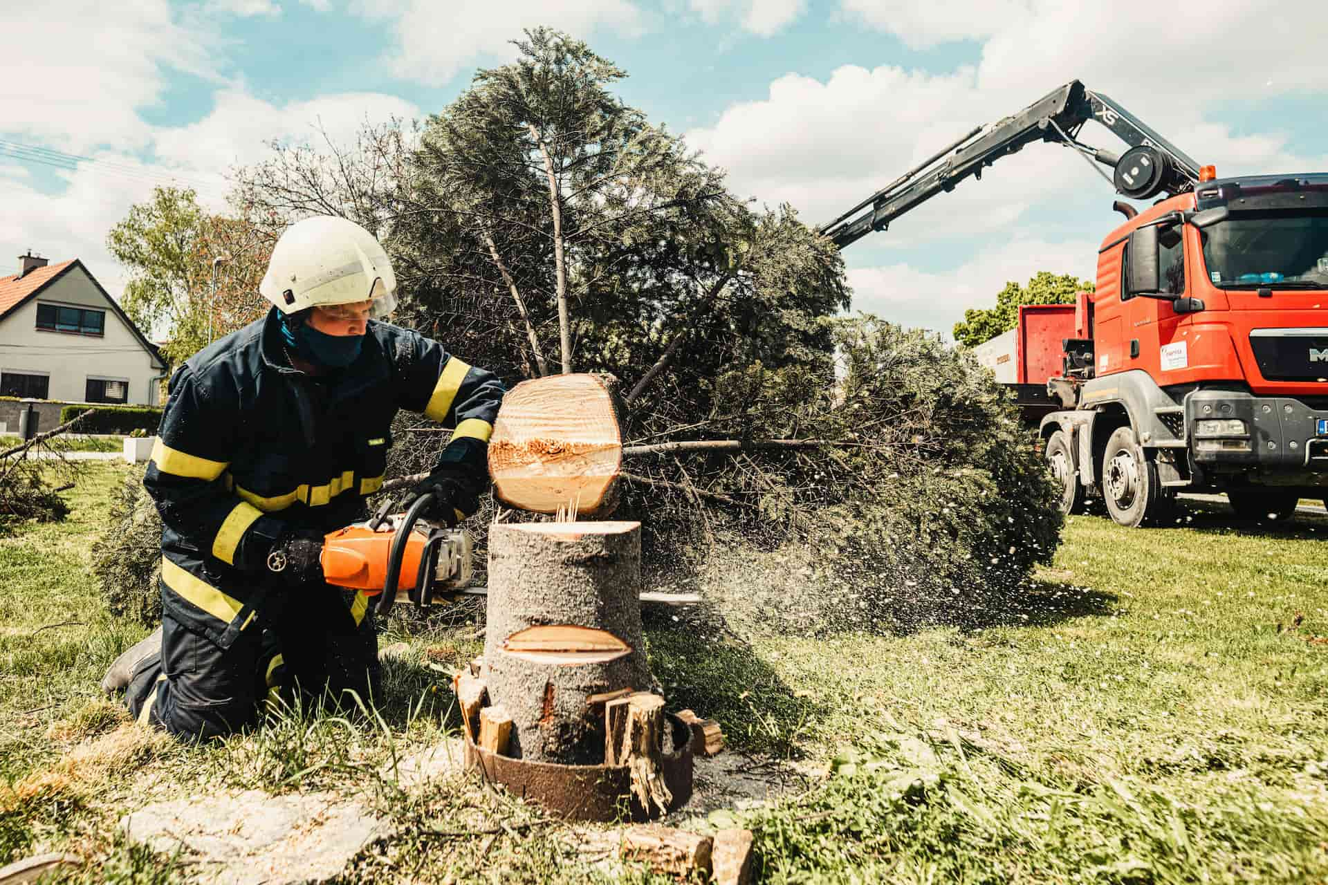 Tree surgeons near me Kings Langley