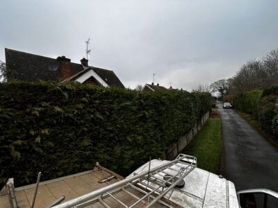 Expet tree surgeons (3) Tring