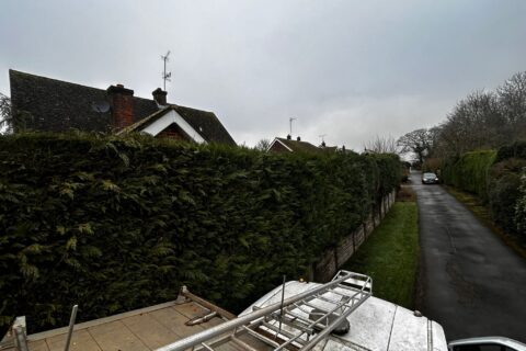 Hedge Trimming & Removal Harrow